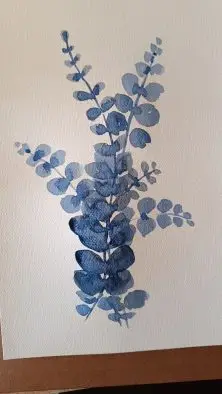 Aquarelle Eucalyplus