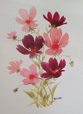A5 Bouquet de Cosmos bordeaux et rose